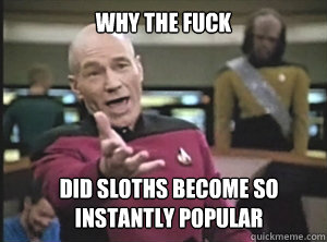 why the fuck did sloths become so instantly popular  Annoyed Picard