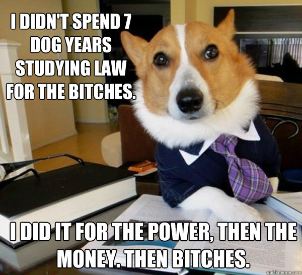 I didn't spend 7 dog years studying law for the bitches. I did it for the power, then the money. then bitches.  Lawyer Dog