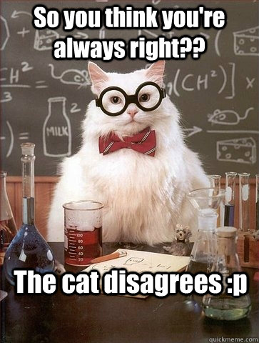 So you think you're always right?? The cat disagrees :p - So you think you're always right?? The cat disagrees :p  Chemistry Cat