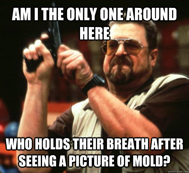 AM I THE ONLY ONE AROUND HERE who holds their breath after seeing a picture of mold?  Angry Walter