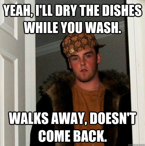 Yeah, i'll dry the dishes while you wash. walks away, doesn't come back.  Scumbag Steve