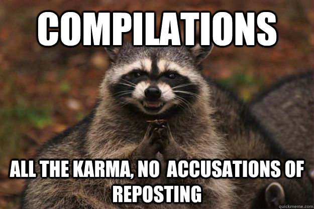 Compilations All the karma, no  accusations of reposting  Evil Plotting Raccoon