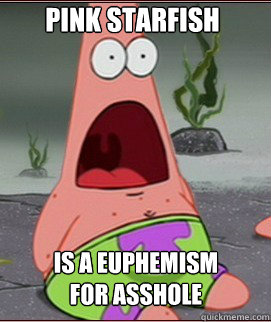 pink starfish is a euphemism for asshole  Holy Shit Patrick