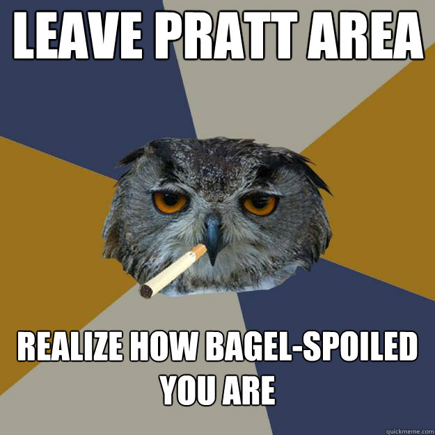 Leave Pratt Area realize how bagel-spoiled you are - Leave Pratt Area realize how bagel-spoiled you are  Art Student Owl