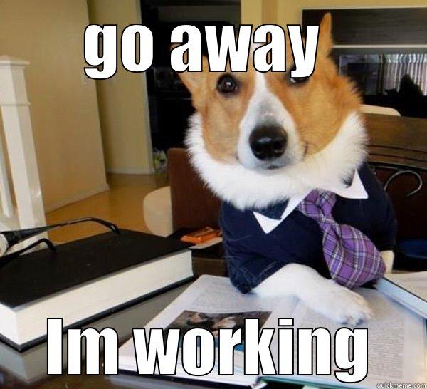 GO AWAY  IM WORKING Lawyer Dog