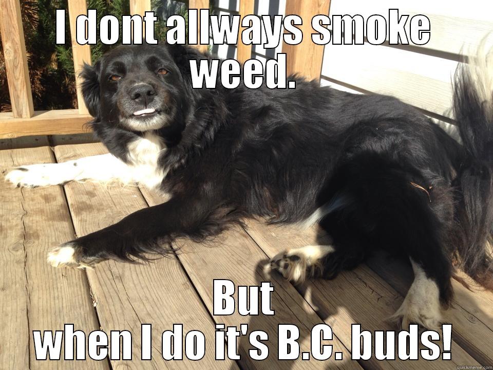 I DONT ALLWAYS SMOKE WEED. BUT WHEN I DO IT'S B.C. BUDS! Misc