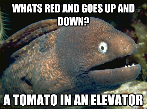 Whats red and goes up and down? a tomato in an elevator - Whats red and goes up and down? a tomato in an elevator  Bad Joke Eel