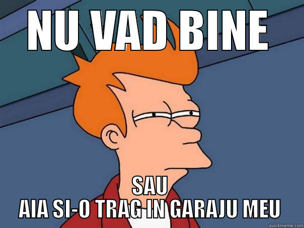 NU VAD BINE SAU AIA SI-O TRAG IN GARAJU MEU Futurama Fry