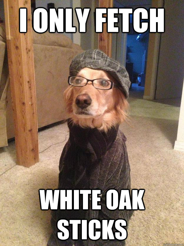 I only fetch white oak sticks  Hipster Dog