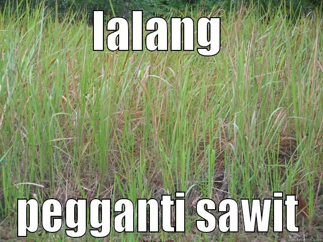 LALANG PEGGANTI SAWIT Misc