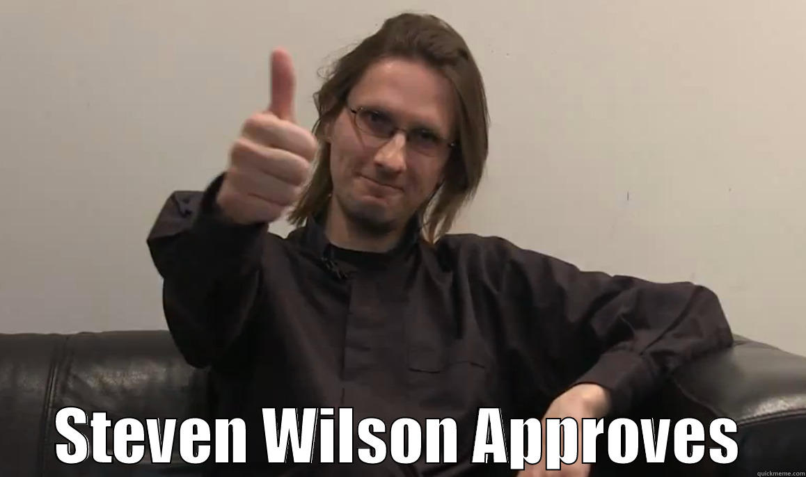 Steven Wilson Approves -  STEVEN WILSON APPROVES Misc