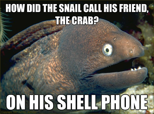 How did the snail call his friend, the crab? On his shell phone - How did the snail call his friend, the crab? On his shell phone  Bad Joke Eel