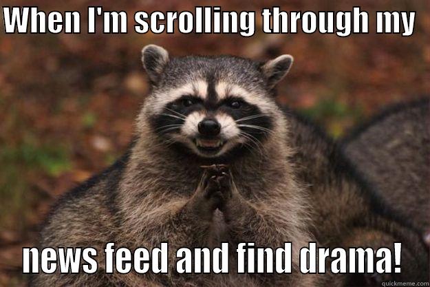 Facebook Drama - WHEN I'M SCROLLING THROUGH MY   NEWS FEED AND FIND DRAMA! Evil Plotting Raccoon