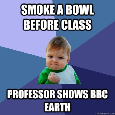 smoke a bowl before class professor shows bbc earth  Success Kid