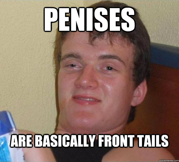 penises are basically front tails   The High Guy