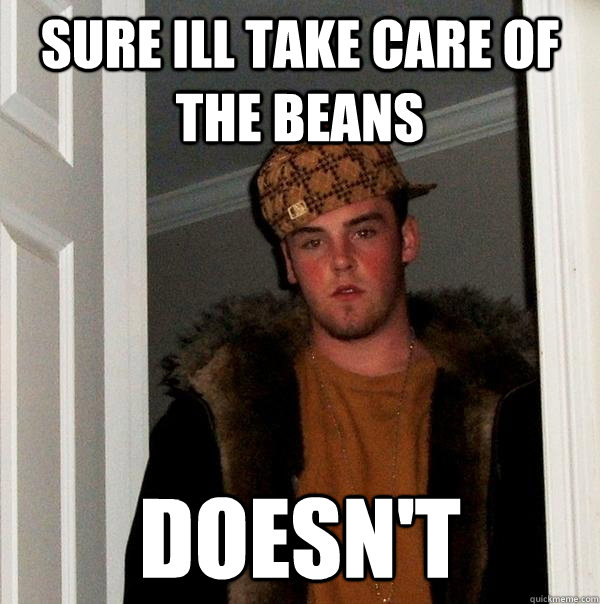 sure ill take care of the beans doesn't  Scumbag Steve