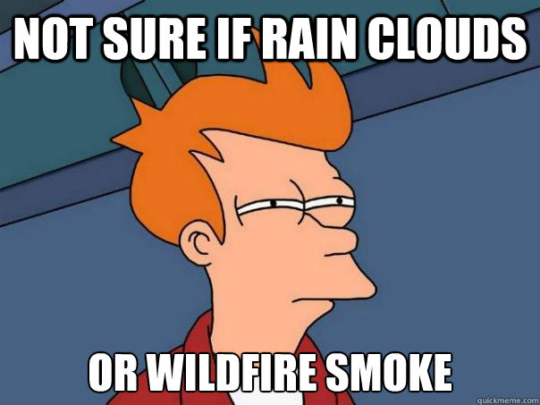 not sure if rain clouds or wildfire smoke  Futurama Fry