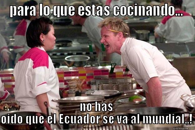 PARA LO QUE ESTAS COCINANDO... NO HAS OIDO QUE EL ECUADOR SE VA AL MUNDIAL..! Gordon Ramsay