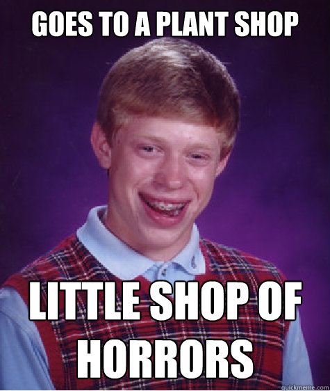 goes to a plant shop little shop of horrors  Bad Luck Brian