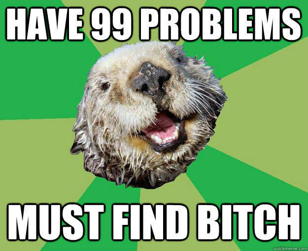 Have 99 problems must find bitch  