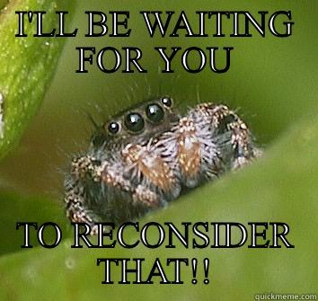 I'LL BE WAITING FOR YOU TO RECONSIDER THAT!! Misunderstood Spider