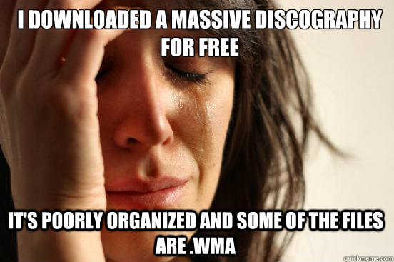 I downloaded a massive discography for free It's poorly organized and some of the files are .wma  First World Problems