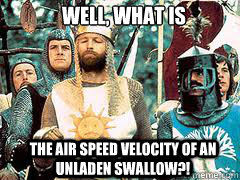 Well, what is  the air speed velocity of an unladen swallow?! - Well, what is  the air speed velocity of an unladen swallow?!  Well What Is