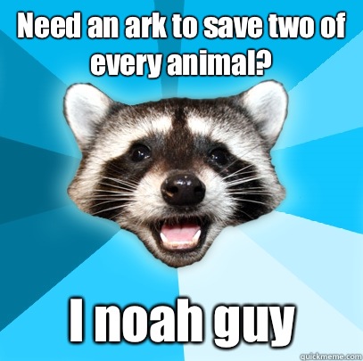 Need an ark to save two of every animal? I noah guy - Need an ark to save two of every animal? I noah guy  Lame Pun Coon