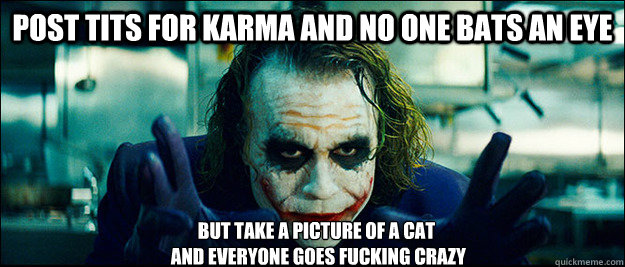 post tits for karma and no one bats an eye but take a picture of a cat
 and everyone goes fucking crazy  The Joker