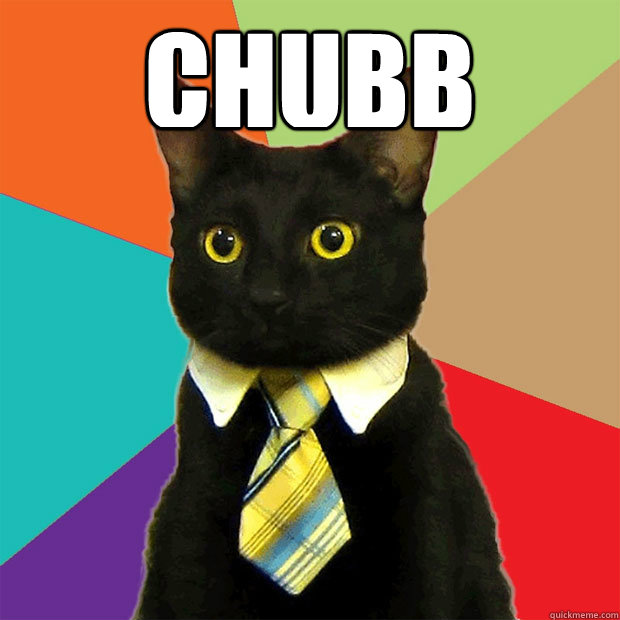 chubb   Business Cat