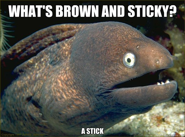 What's Brown and Sticky? A stick  Bad Joke Eel