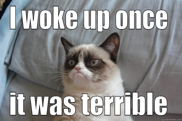 I WOKE UP ONCE IT WAS TERRIBLE Grumpy Cat