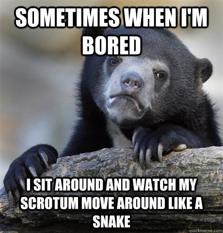 Sometimes when I'm bored I sit around and watch my scrotum move around like a snake - Sometimes when I'm bored I sit around and watch my scrotum move around like a snake  Confession Bear