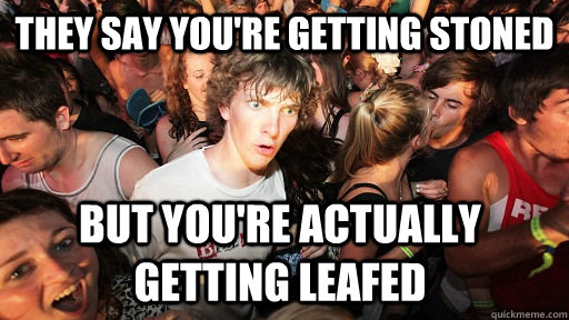 they say you're getting stoned but you're actually getting leafed  Sudden Clarity Clarence