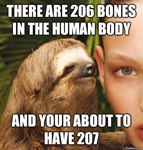 there are 206 bones in the human body and your about to have 207  rape sloth