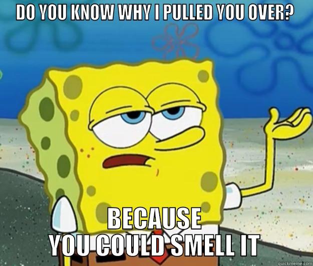 DO YOU KNOW WHY I PULLED YOU OVER? BECAUSE YOU COULD SMELL IT Tough Spongebob