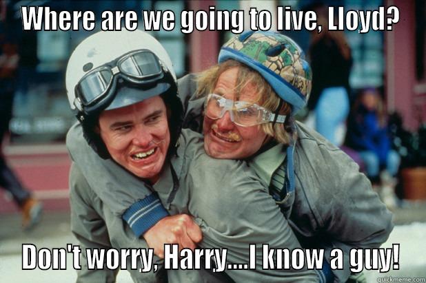 Greg @ Coldwell Banker Regional Realty - WHERE ARE WE GOING TO LIVE, LLOYD? DON'T WORRY, HARRY....I KNOW A GUY! Misc