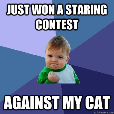 Just won a staring contest against my cat - Just won a staring contest against my cat  Success Kid