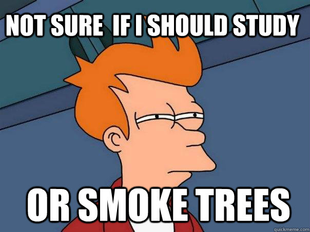 Not sure  if i should study  or smoke trees - Not sure  if i should study  or smoke trees  Futurama Fry