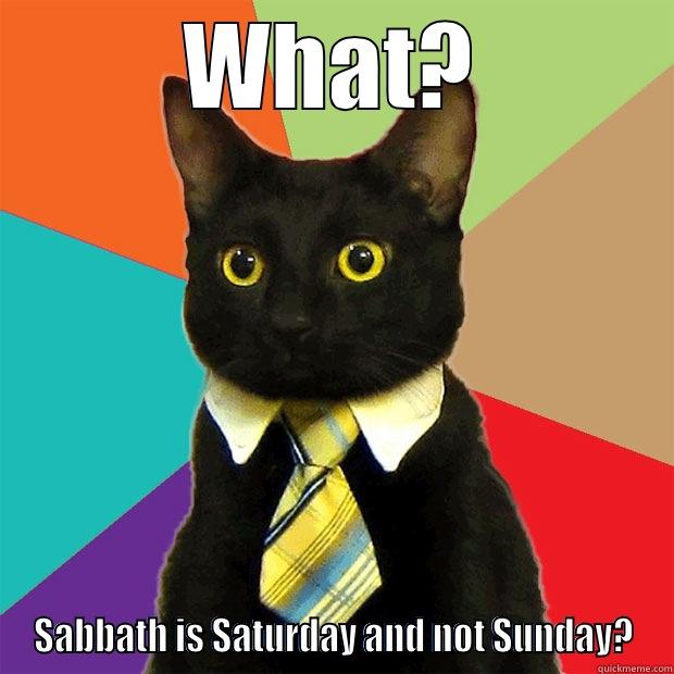 Smart cat - WHAT? SABBATH IS SATURDAY AND NOT SUNDAY? Business Cat