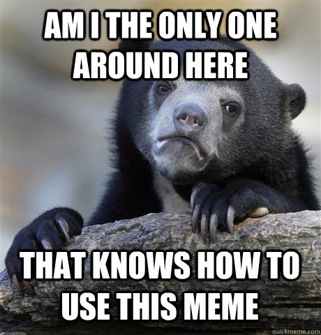 AM I THE ONLY ONE AROUND HERE THAT KNOWS HOW TO USE THIS MEME  Confession Bear