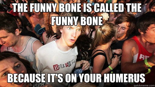 The funny bone is called the funny bone
 because it's on your humerus  Sudden Clarity Clarence