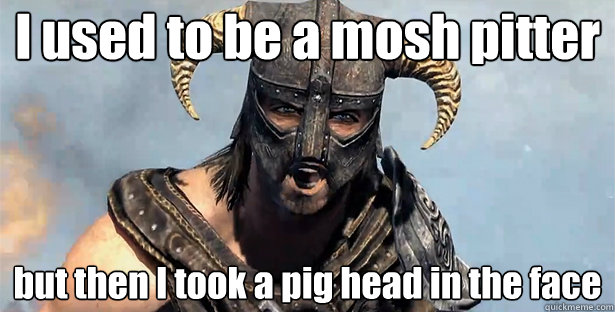 I used to be a mosh pitter
 but then I took a pig head in the face
  Took an Arrow to the Knee