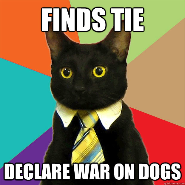 Finds Tie Declare war on dogs  Business Cat