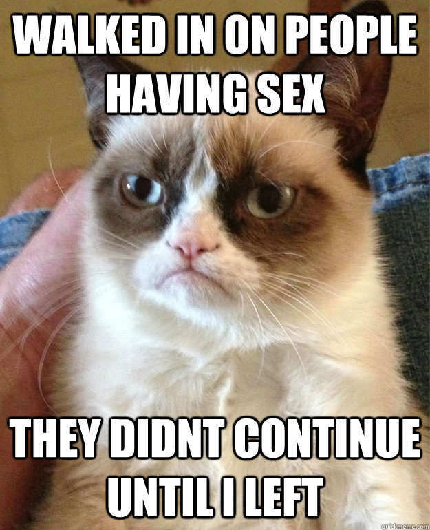 walked in on people having sex they didnt continue until i left  Grumpy Cat