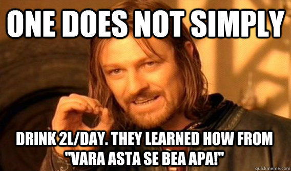 ONE DOES NOT SIMPLY DRINK 2L/day. They learned how from 