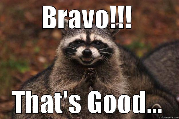 BRAVO!!! THAT'S GOOD... Evil Plotting Raccoon