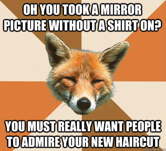 oh you took a mirror picture without a shirt on? you must really want people to admire your new haircut  Condescending Fox