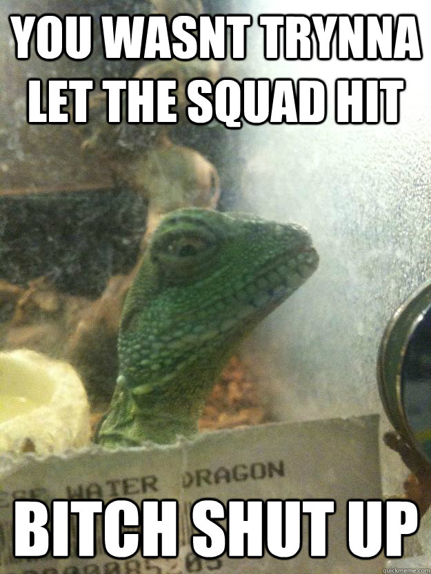 you wasnt trynna let the squad hit bitch shut up - you wasnt trynna let the squad hit bitch shut up  Leery Lizard