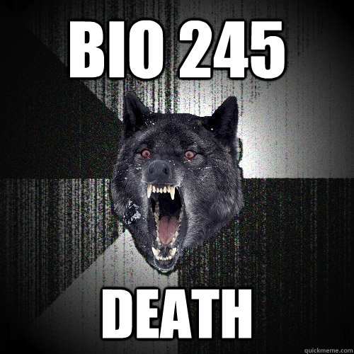 Bio 245 death  Insanity Wolf